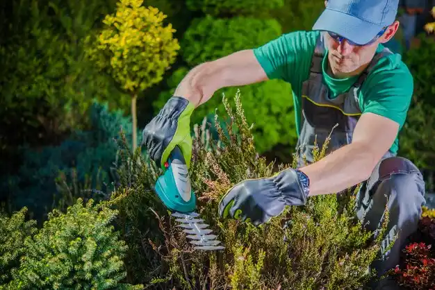 landscaping services Erath